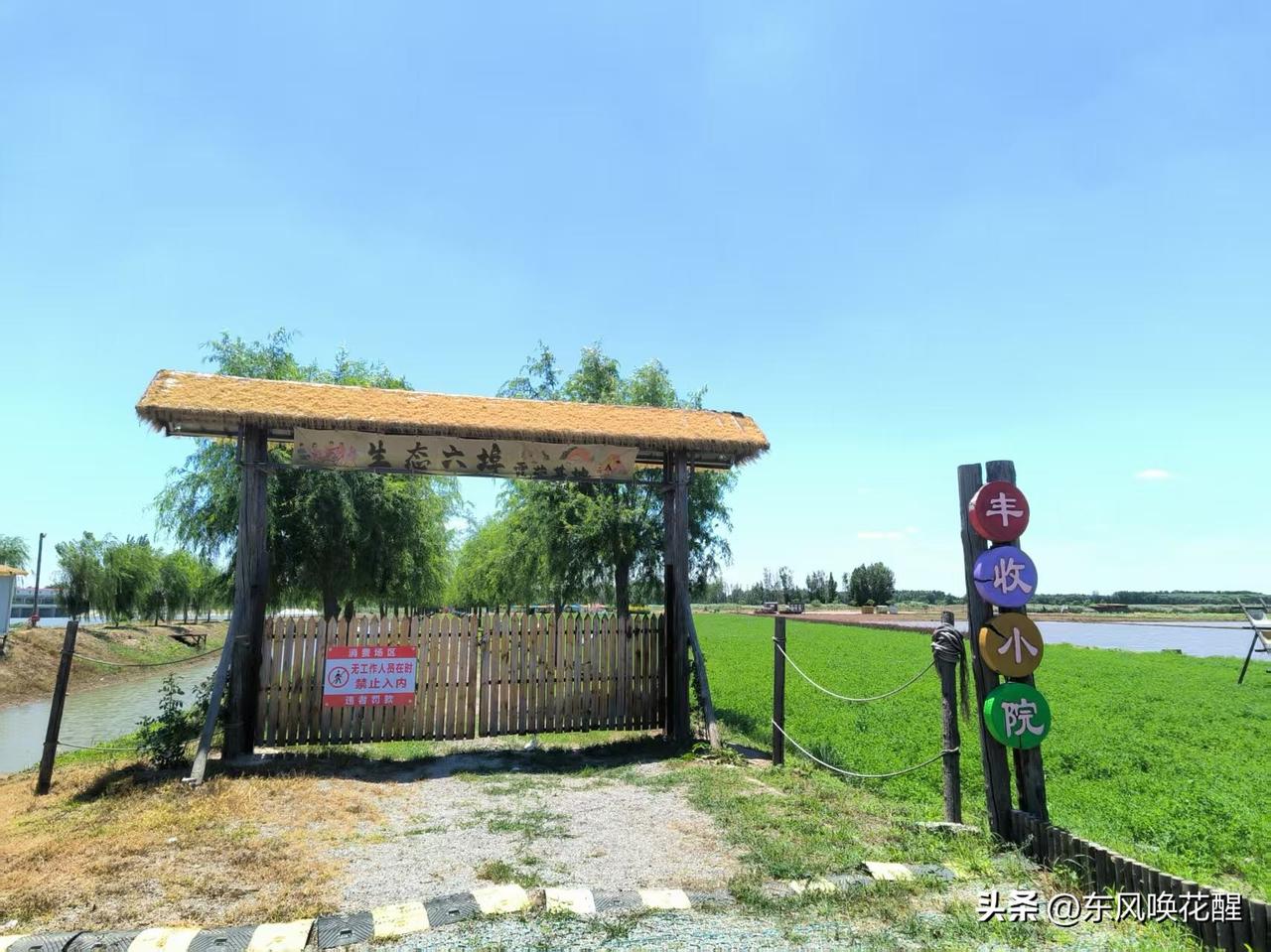 去乡村看风景！
西青的六埠生态园，位于天津市西青区辛口镇第六埠村，地处子牙河、大