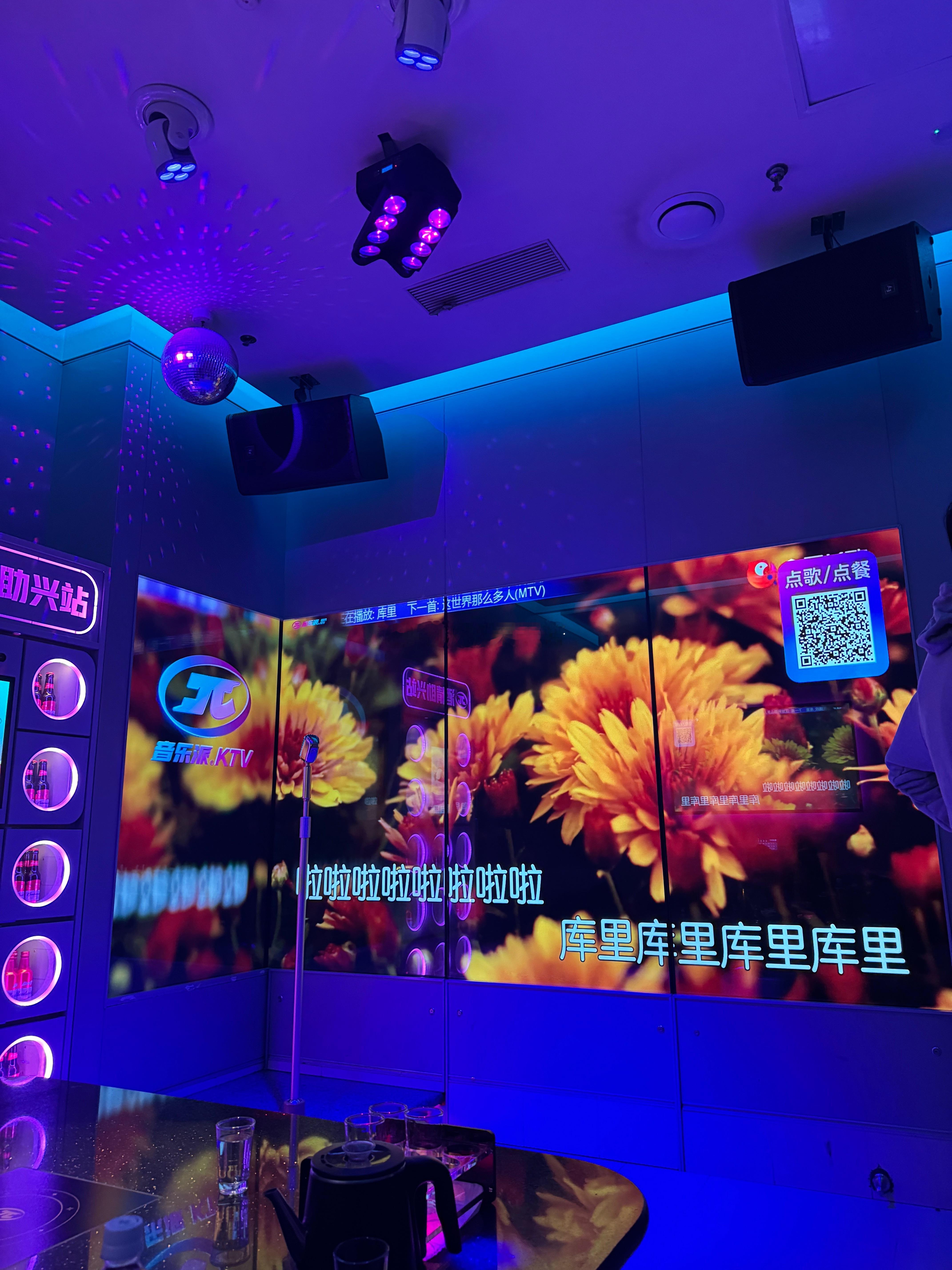 最近被洗脑的一首歌。我的日常plog 成都