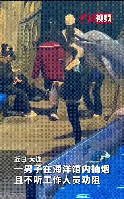 笑不活了！
男子在海洋馆内抽烟，工作人员见状急忙跑上前劝阻“先生话音刚落男子又猛