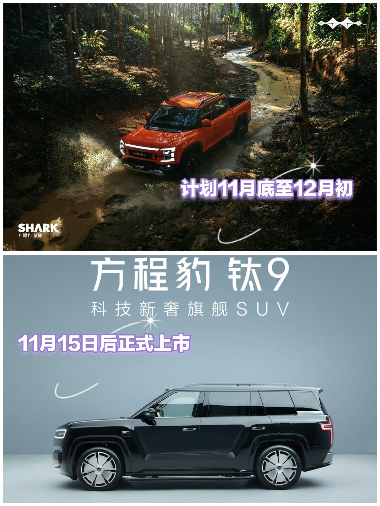 方程豹钛9将在11月中旬正式发布，也就是在11月15日后上市。鲨鱼皮卡计划在11