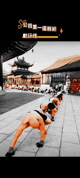 公园里“爬行大军”
呈现一道靓丽的“爬行线”！
大家对此怎么看？