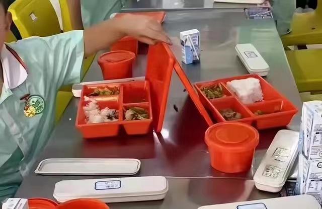 学校食品安全：预制菜进校园的争议
近日，一场关于学校食品安全的争议在多地掀起波澜