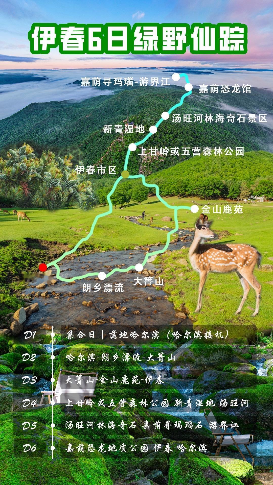 ❗️伊春这座宝藏小城的来头可不小
1️⃣小兴安岭，3.3万平方公里的森林面积，9
