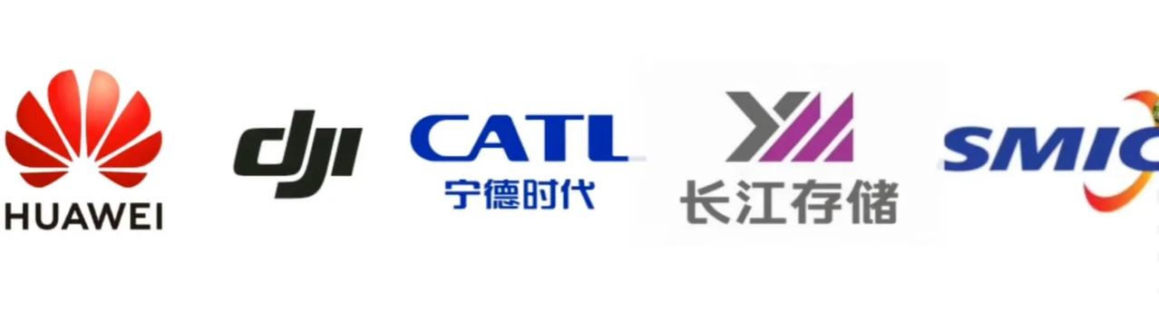 白宫甄选，五大巨头！！！也是我们国家的骄傲！#MCN首发激励计划#