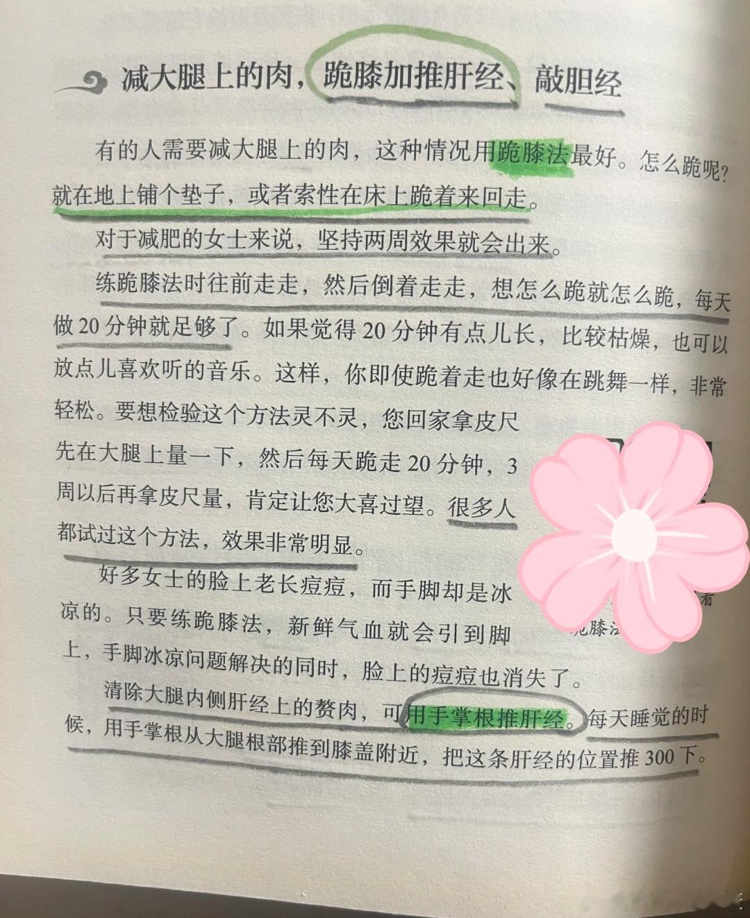 减大腿上的肉 