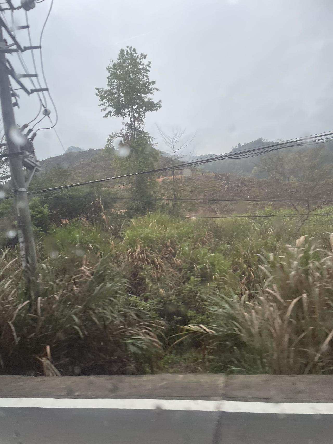 在家管理茶叶，可是现在茶季又还没有到，都没有啥收入，看着头大，而别人每天都有。