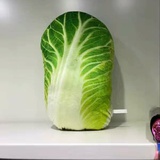 芒桂爱逛汽车