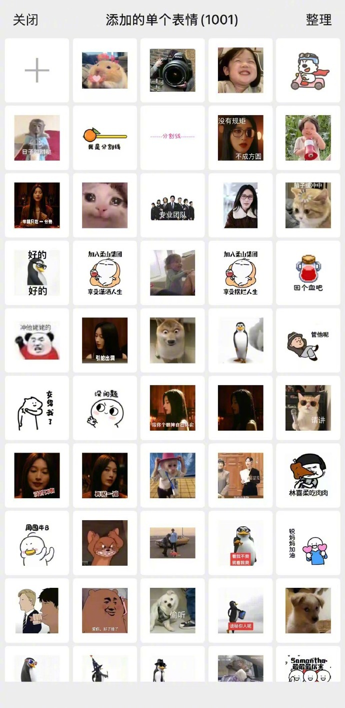 张俪也中了企鹅舞的毒 张俪这是彻底被企鹅舞洗脑了吧！居然默默收藏了这么多，表面上