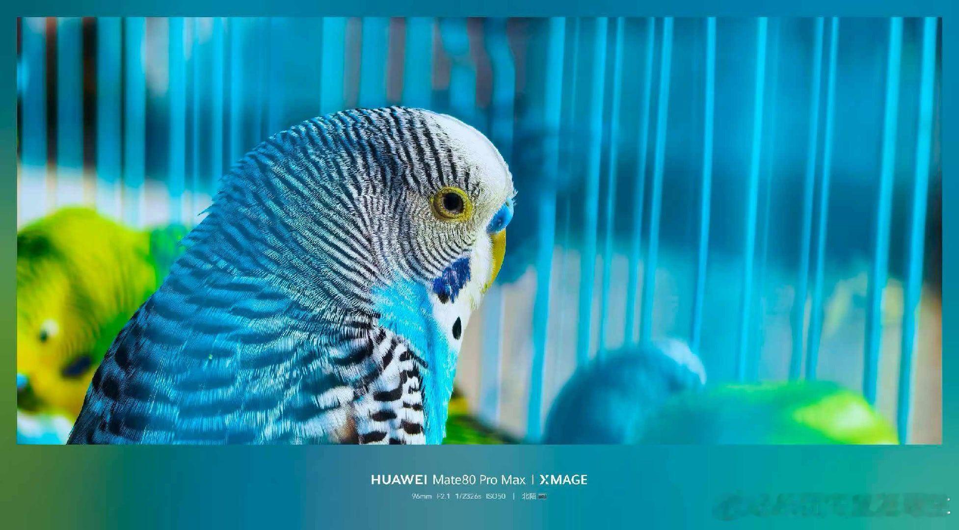 偷来一组好兄弟拍的美照，感受下华为mate80promax 的影像能力