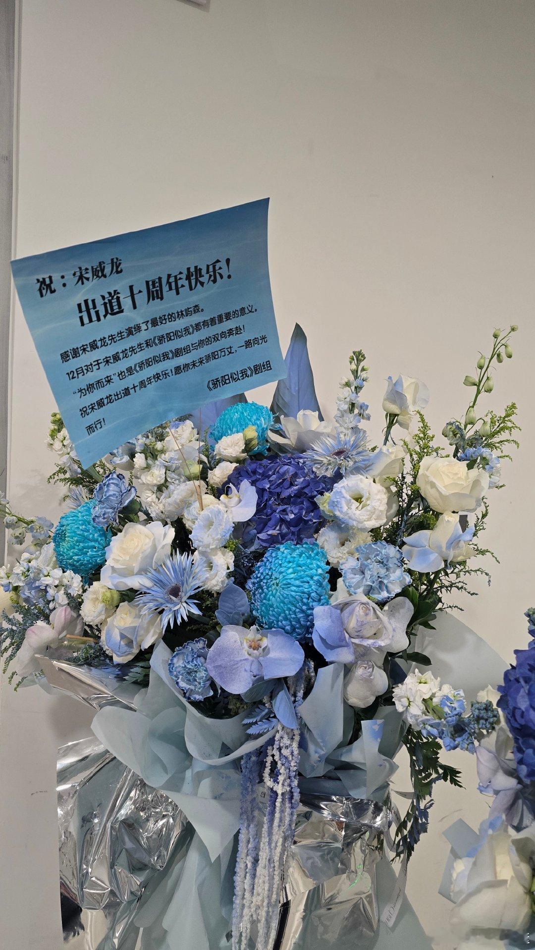 骄阳似我剧组感谢宋威龙 这是什么神仙剧组和神仙演员！宋威龙出道十周年，《骄阳似我