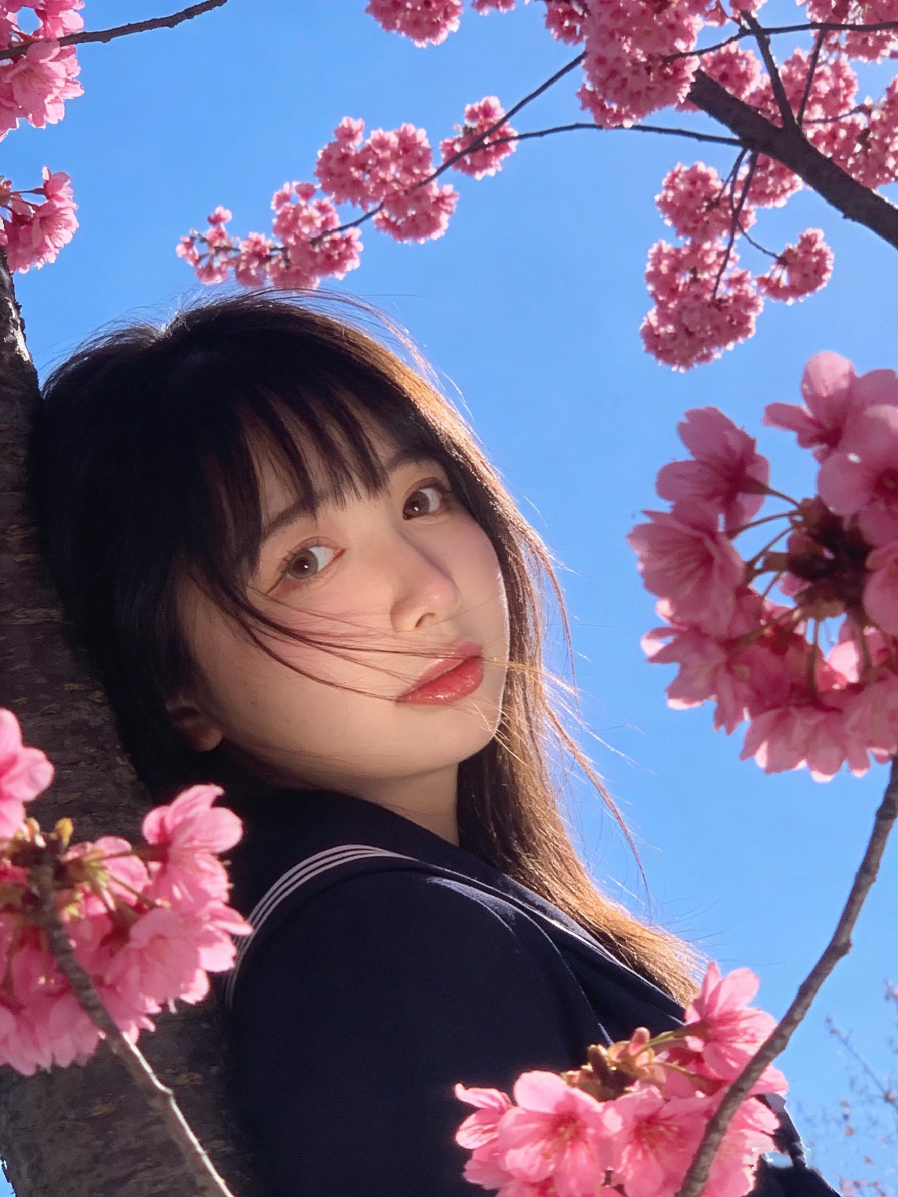 Once upon a dream…