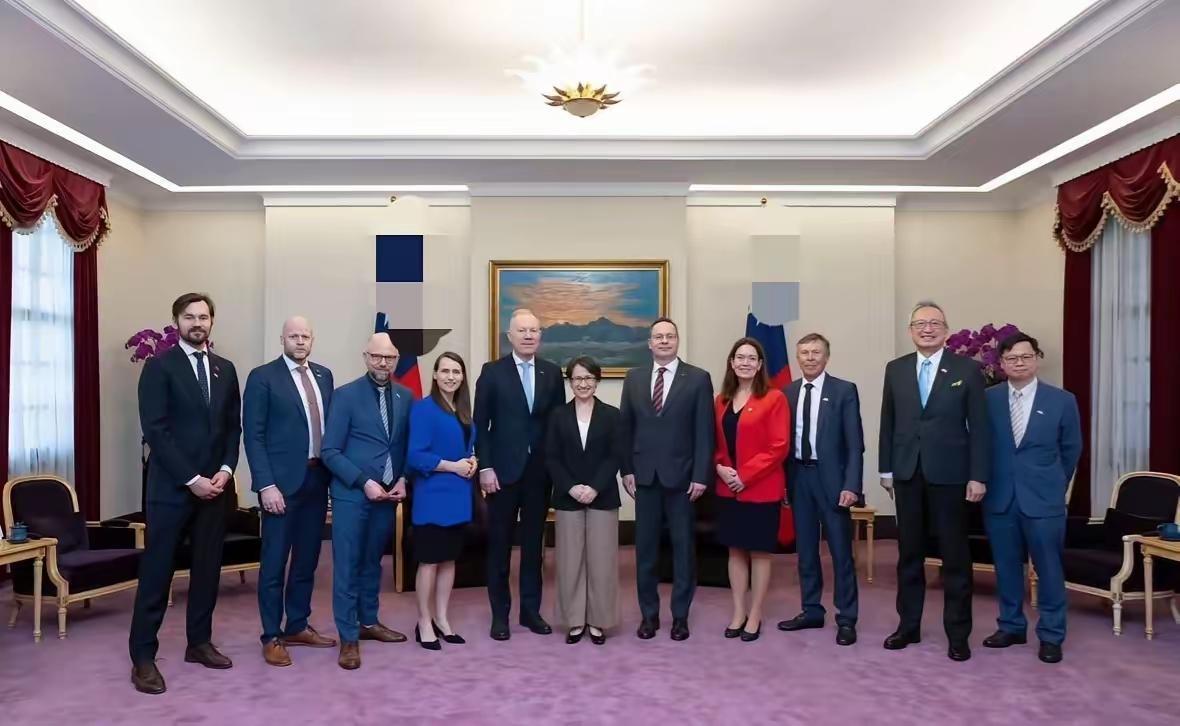 台独分子公然在德国为台湾“正名”。
据德国媒体2月18日报道称，当天5名台湾青年