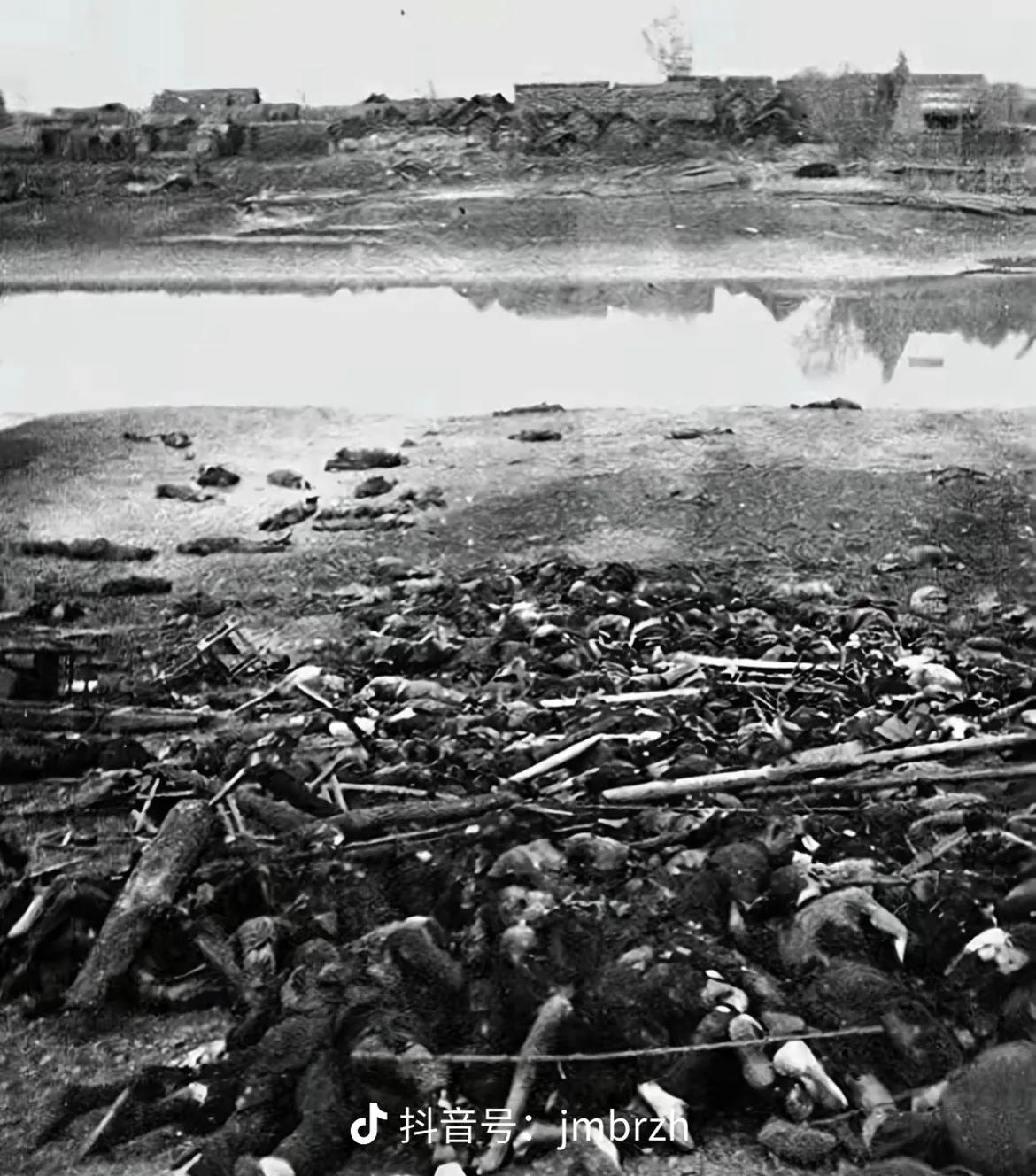 历史上的今天，日军屠杀中华数万无辜平民！
 
1894年11月21日，甲午战争的