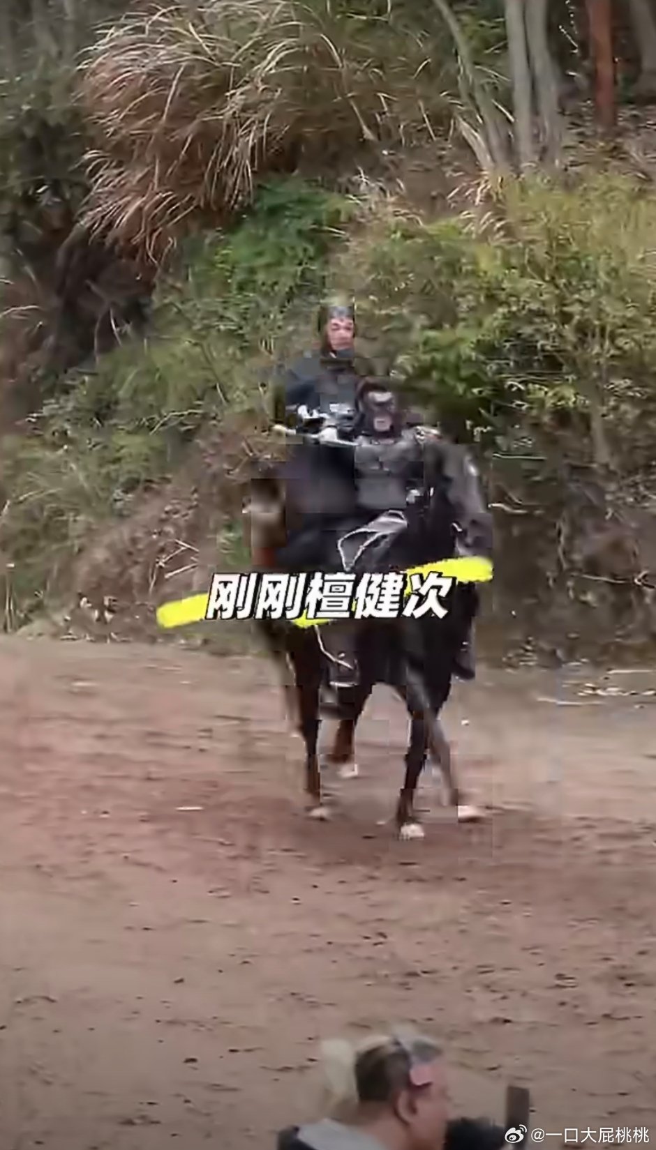 古偶拿破仑来了！怎么给檀儿配这么小的马？ 