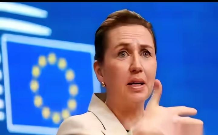 直接掀桌子了。
丹麦首相，一个女的，对着全世界放话：美国你要是敢动格陵兰岛，我们