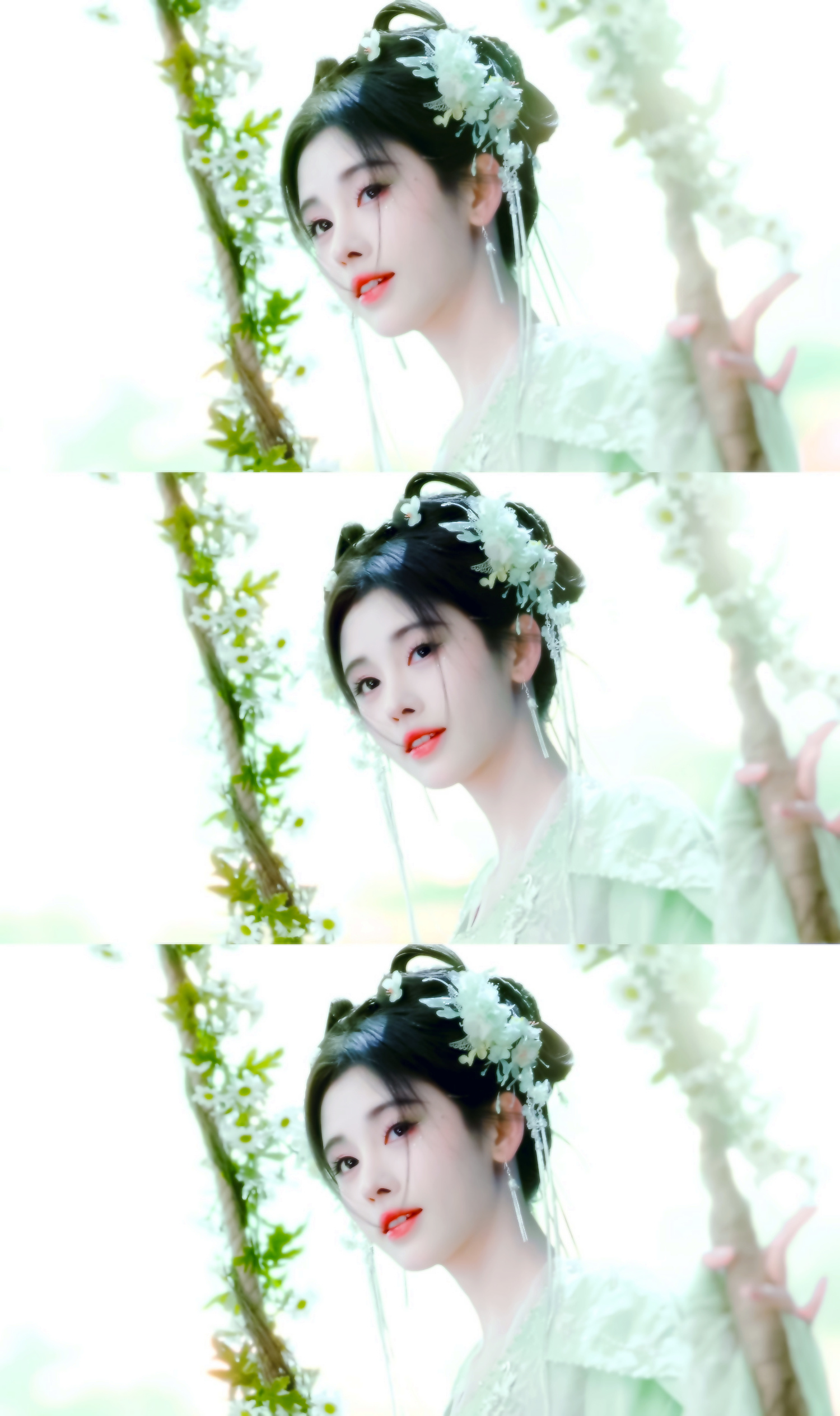 鞠婧祎*🫧🍃🍀 
