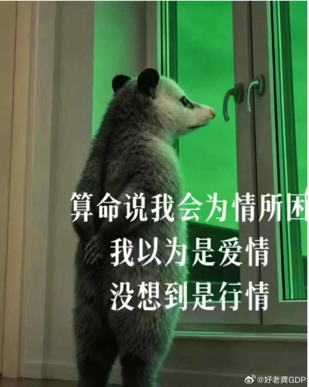 运动到底能不能让人变年轻？我觉得可以的，甩1000个壶铃把老子累得跟孙子一样 
