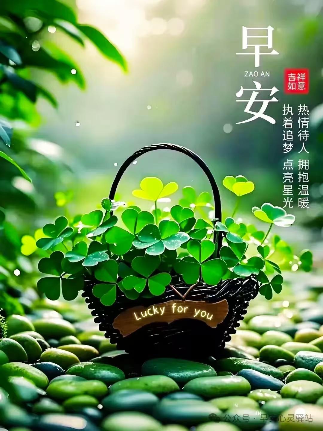 微笑開啟美好的一天，
問候送去最美的祝福，
惦念傳遞真誠的吉祥，
叮嚀道一句快樂