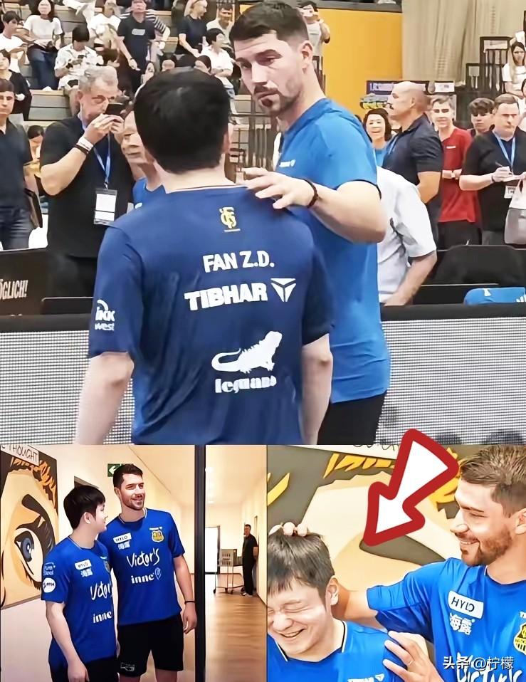 德国名将弗朗西斯卡：别再叫樊振东天才了。

他队友说，樊振东刚来德甲俱乐部时，大