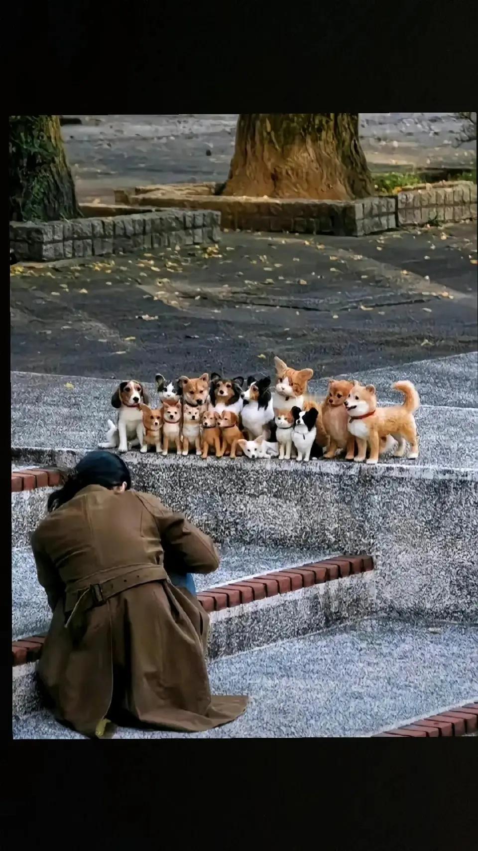 为了和狗狗们合照，小猫咪竖起了耳朵！