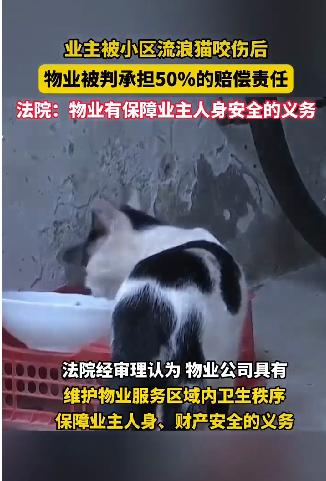 业主在小区被流浪猫咬伤，要负50%的责任，。已经有法可依了！

根据“广东新闻频