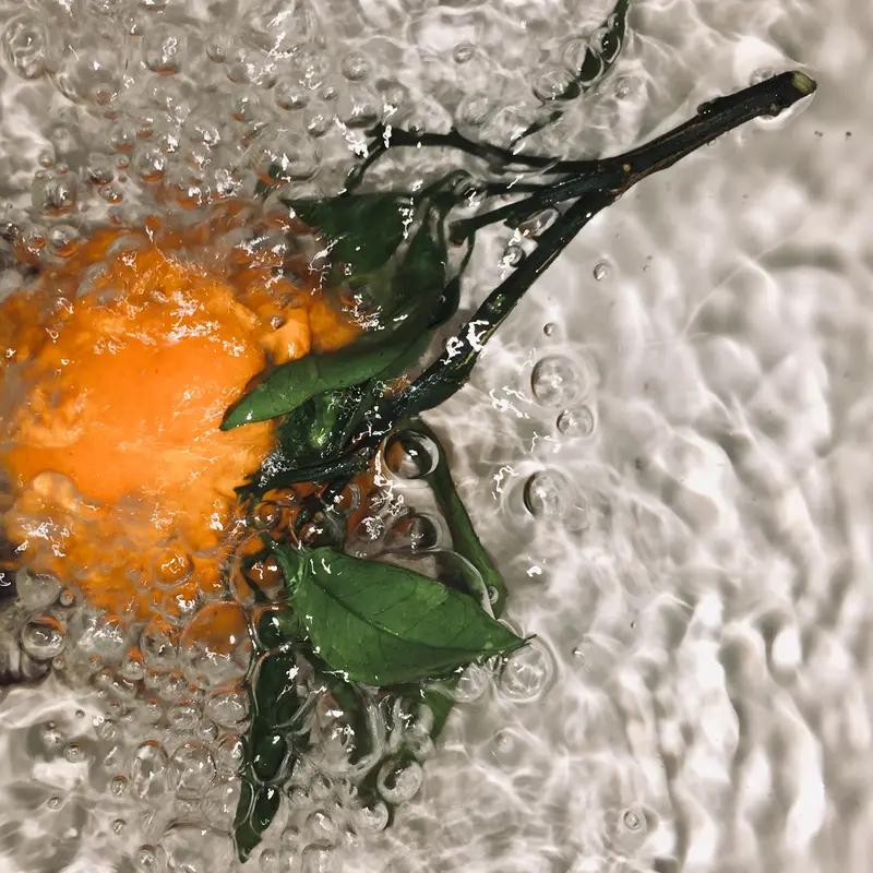 橘子海有没有侵权，咱不专业。但我好奇，如果有手机叫五月天，算不算侵权？
如果有手