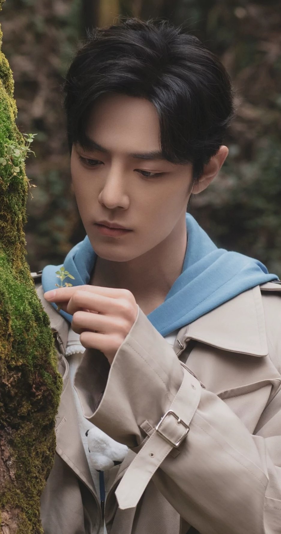 肖战肖战盛阳肖战肖春生 星河滚烫，你是人间理想𝑻𝒉𝒆𝒈𝒂𝒍𝒂𝒙?