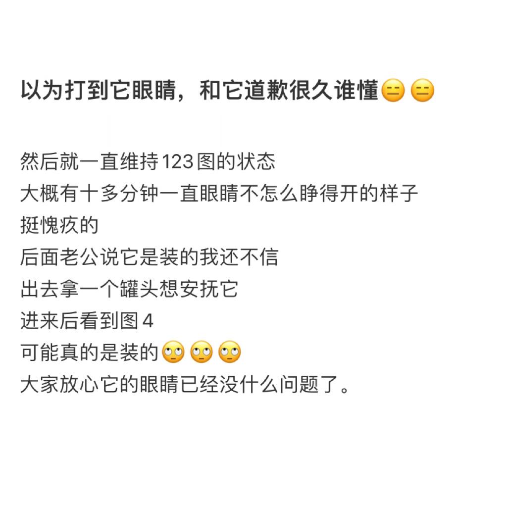 从未见过如此有心机的猫[doge] ​​​