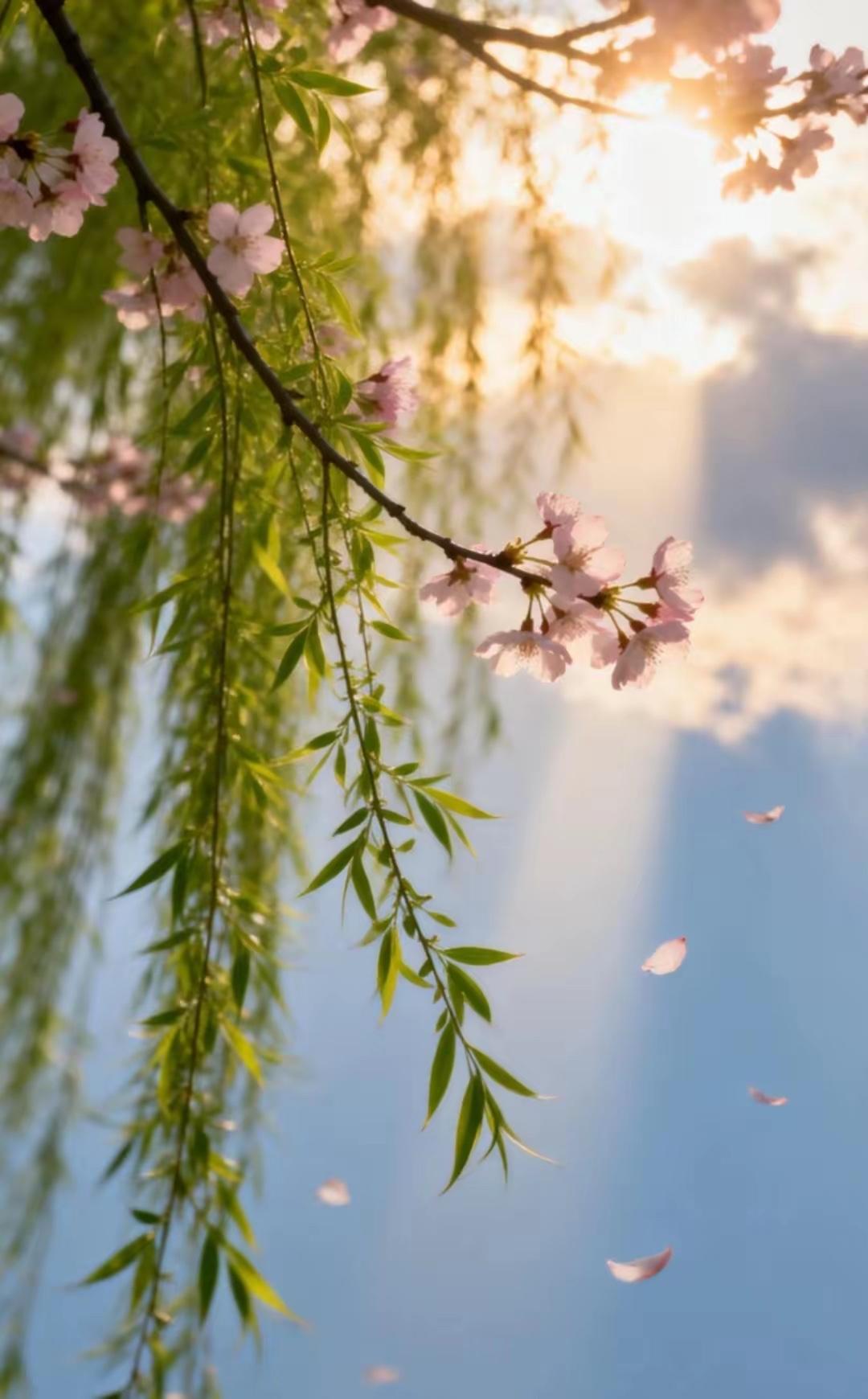 一缕清风拂翠柳，
三只绿鸟吵白杨。
横批：《清风与绿鸟》