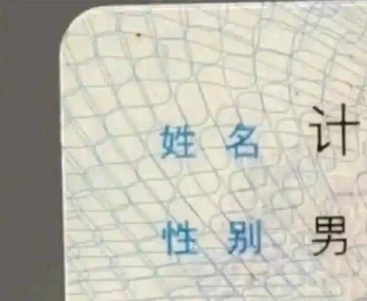 能不能来一个文化水平比较高的，帮我想一下应该起什么名字。。🤔🤔 ​​​