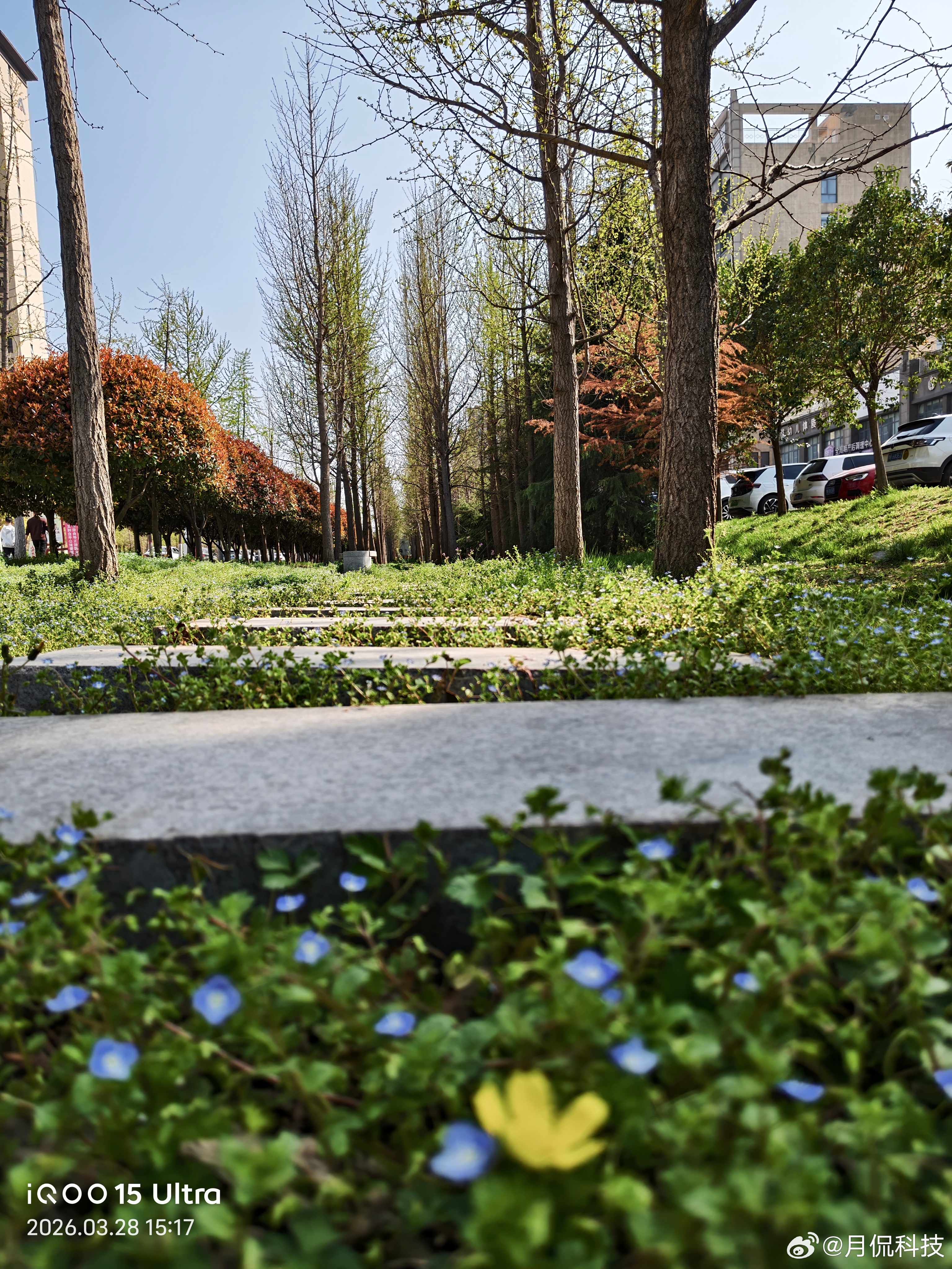 iqoo有时候换个角度去拍东西，得到的画面会有新的惊喜iqoo15 ultra