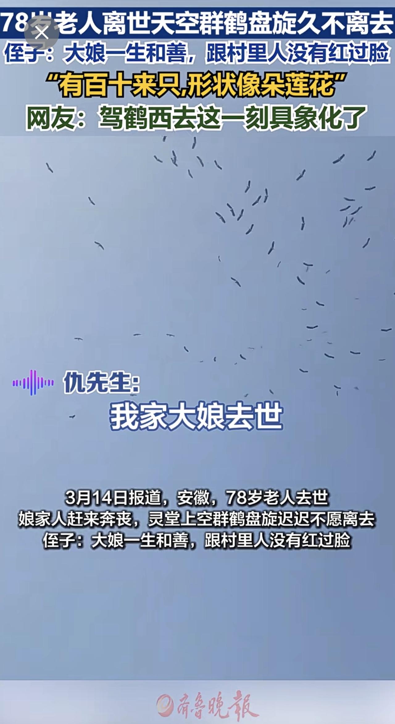 78岁老人离世天空群鹤盘旋久久不愿离去：侄子：大娘一生和善，跟村里人没有红过脸。