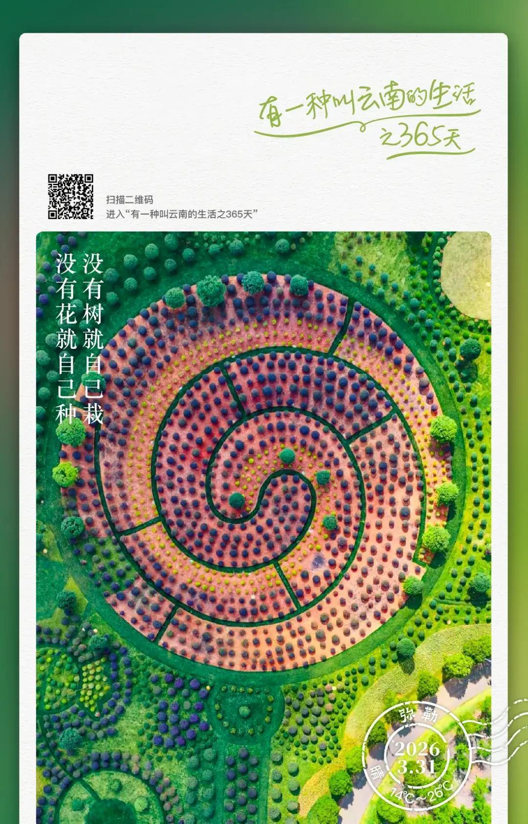 2025年秋天，云南弥勒太平湖畔，一个球状植物园渐渐现形，高空俯瞰像颗巨型棒棒糖