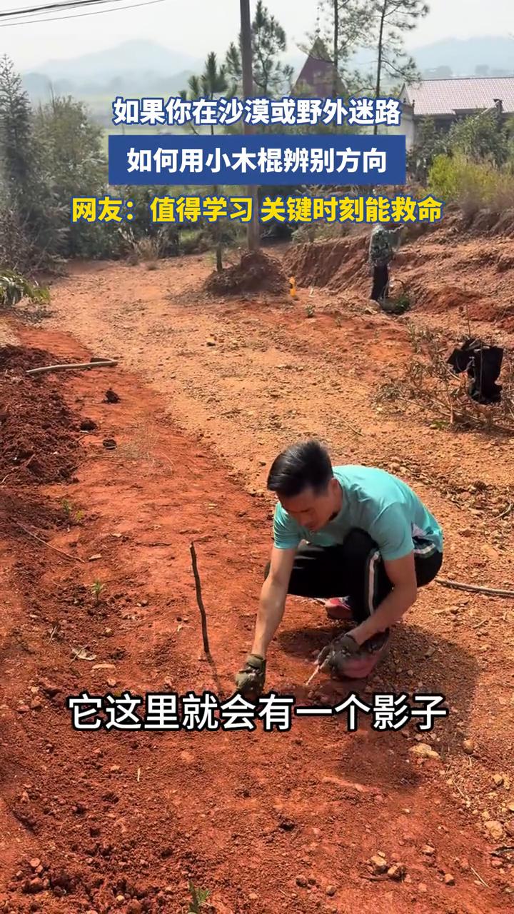 如果你在沙漠或野外迷路，如何用小木棍辨别方向？
网友：值得学习，关键时刻能救命。
