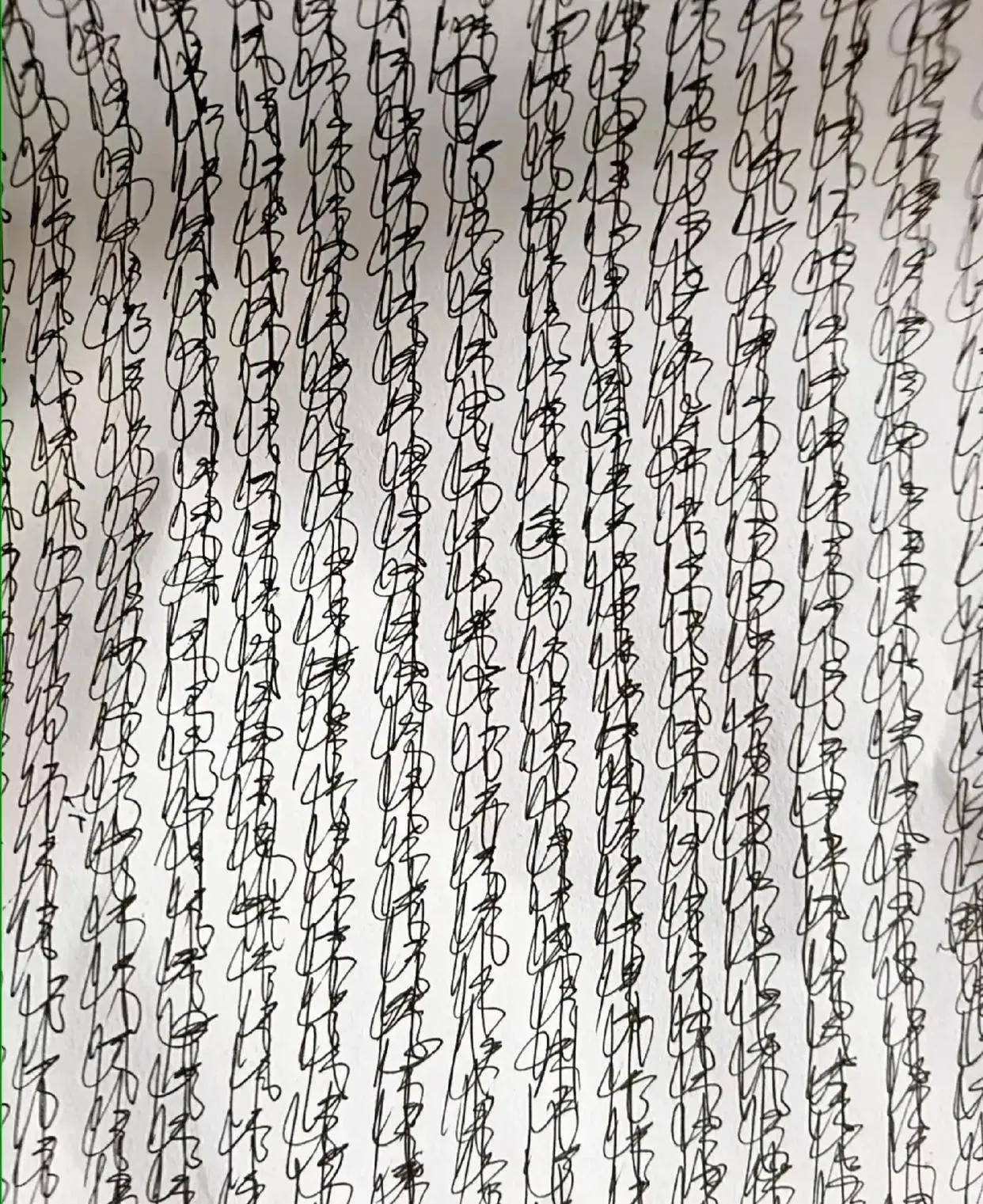 这字迹龙飞凤舞，笔走游蛇，据说出自名家之手。可惜我眼拙，竟一个字也认不出来。大师