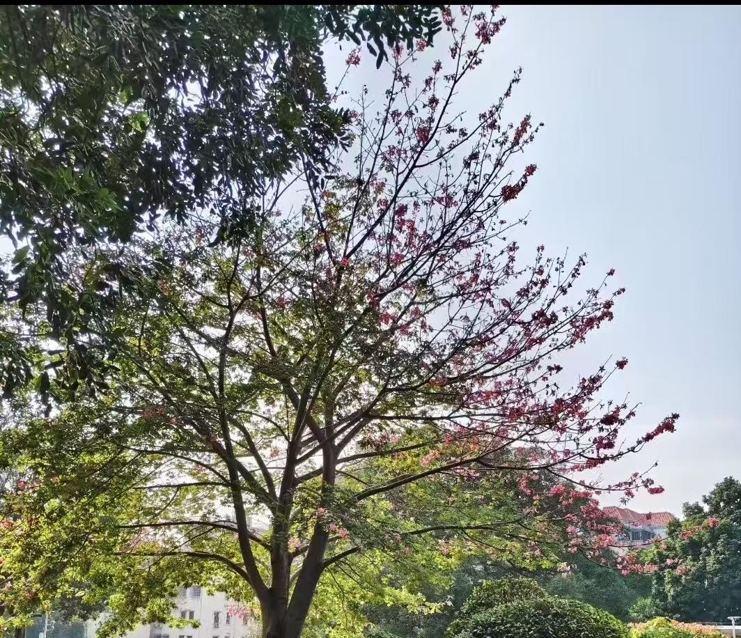 人生之路，有欢笑也有泪水，有成功也有失败。但无论何时何地，只要我们怀揣希望，保持