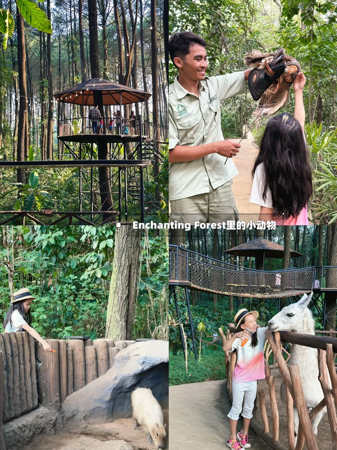 泗水亲子游｜500就能住肯尼亚同款动物世界！