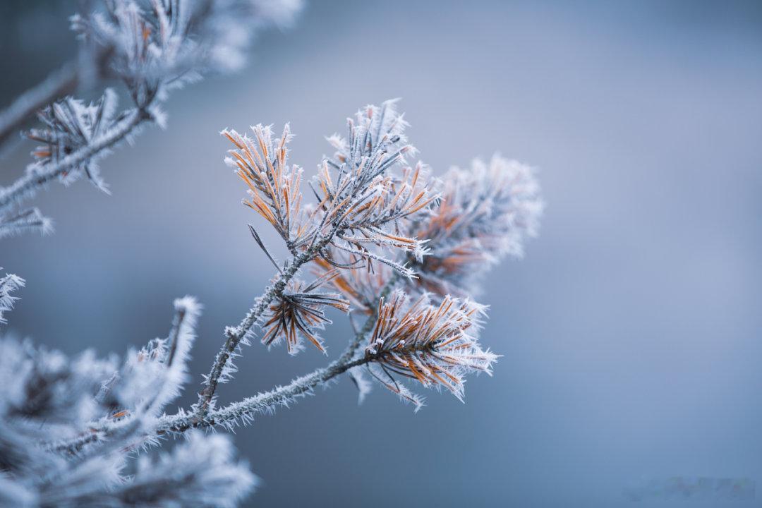 【 今冬最强雨雪要下在哪 ？】据中国气象频道气象分析师信欣而降雪最强的区域，大致
