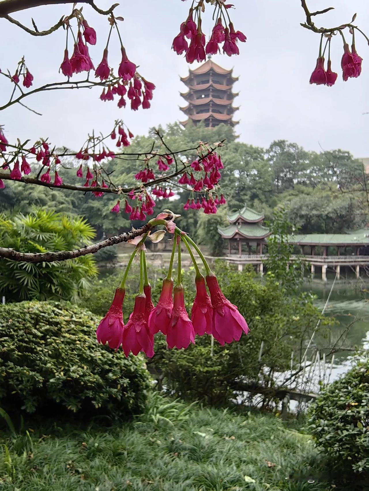 一句话分享今日感悟老朋友、老同事、老同学的情谊，不在身边，不常联系，却在心间，不