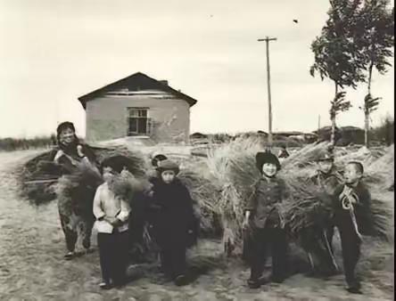 我们大队有个富农成份的儿子，娶了个老婆是贫农成份，因为他们是父母包办的娃娃亲，解