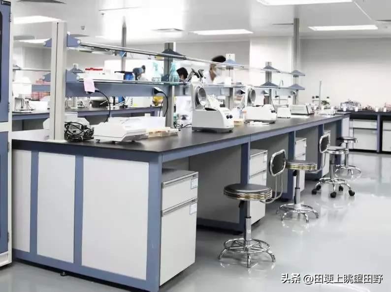 中央最近亮剑了，十五五规划直接把“遮羞布”扯了下来，5000万大学生，满大街的本