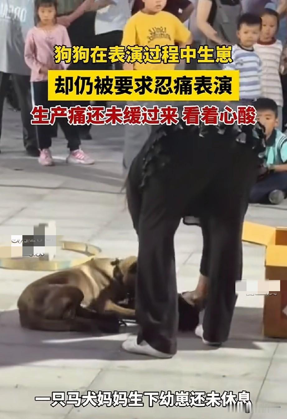 刚生产完，连口气儿都不让喘，就让接着表演干活。

如果不是看视频，真不能相信世上