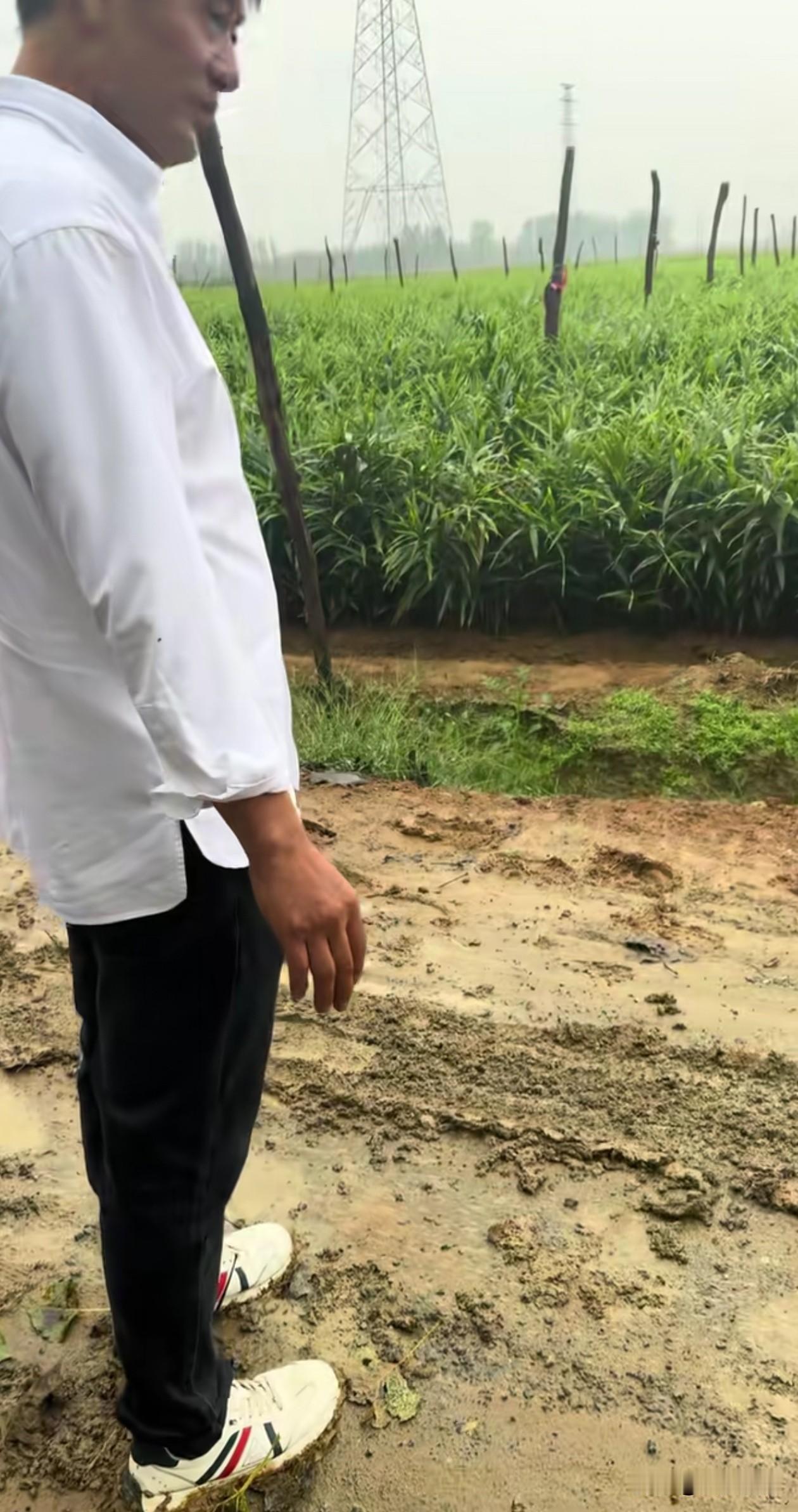 中秋节当天，撞脸张雪峰的陈杰发布动态。

在他助农看姜的路上，车陷进了泥路，下车