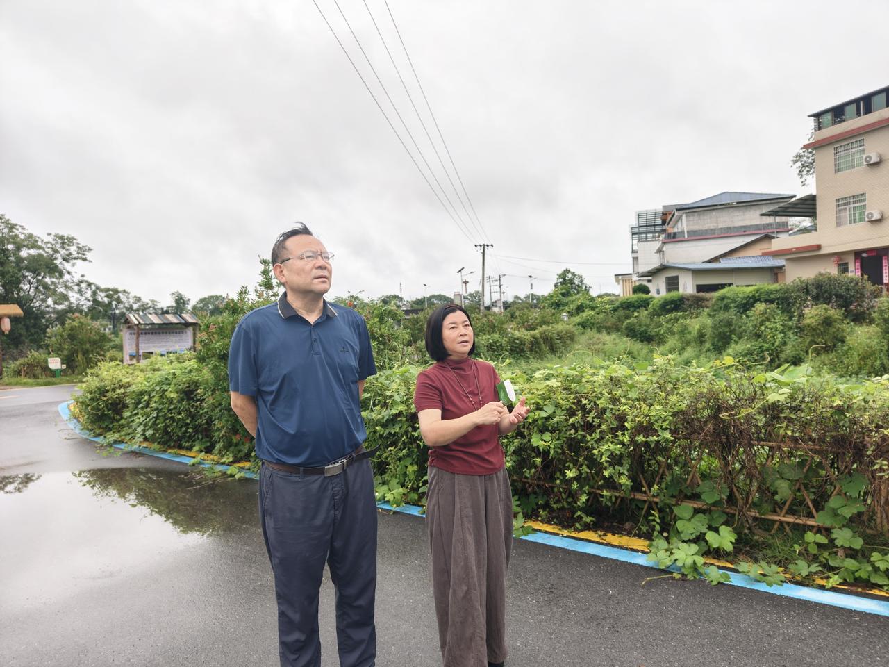 农文旅融合项目中的文化怎么做？
建议：不堆砌、不花钱，只做能变现的文化。
绝大多