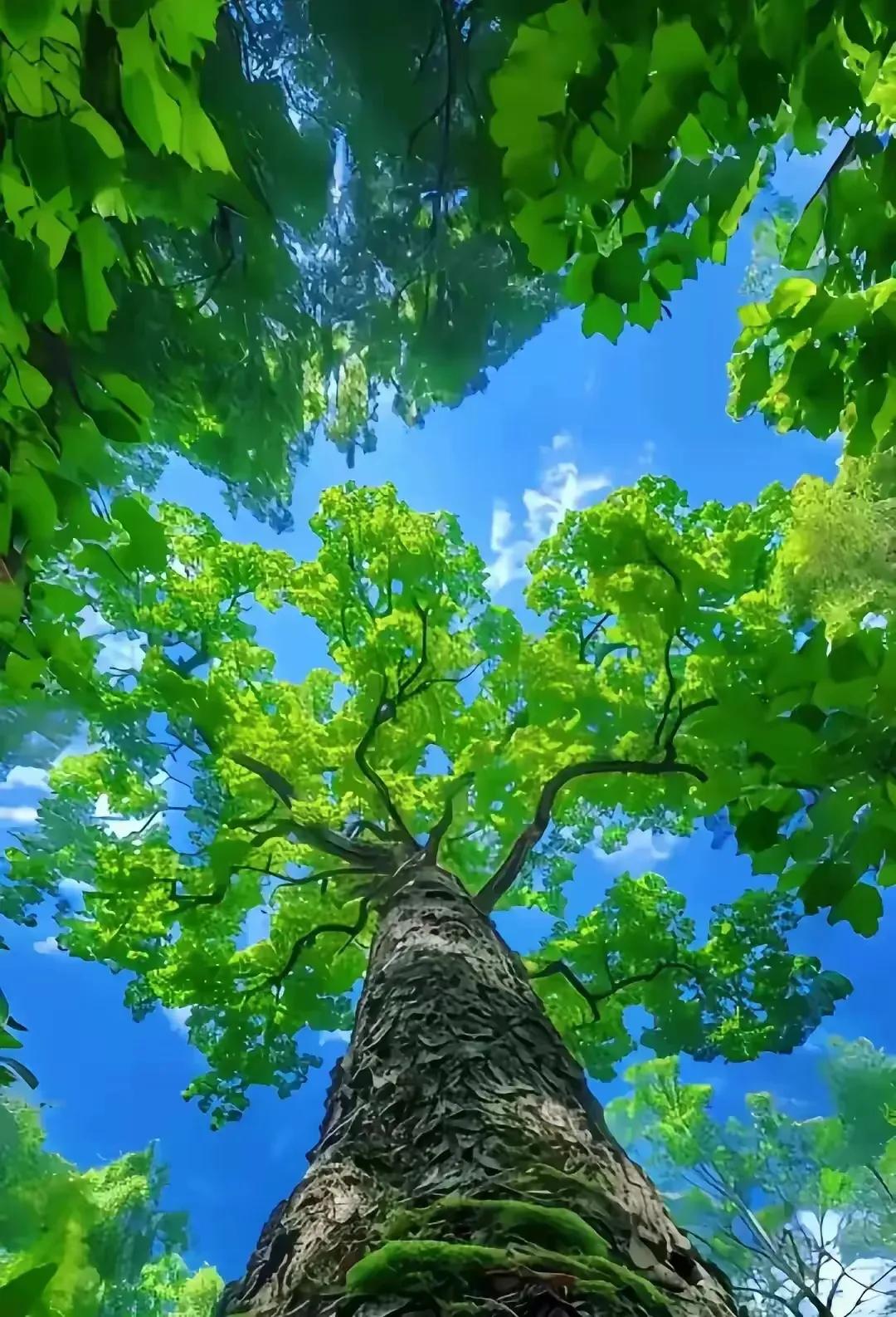 约定的湖水，不改蓝的程度
遗落在你背影里的
小，但没有风声