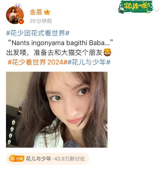 #金晨加盟花少6# 太棒啦，金晨加入花少 6，期待看到她的精彩表现！ ​​​
