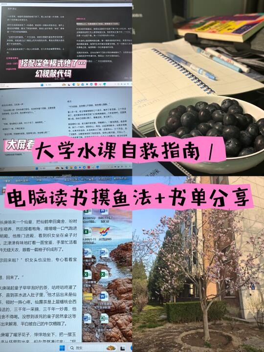 大学水课自救指南｜电脑读书摸鱼法+书单分享