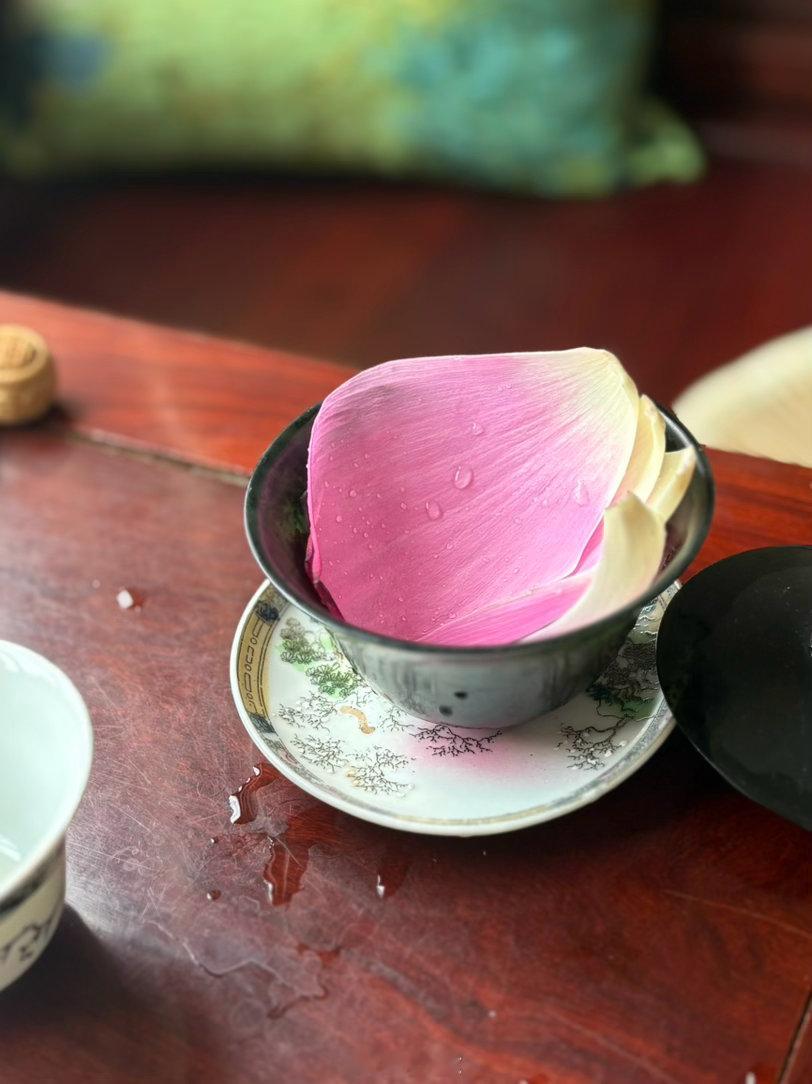 “ 一切都是本性清净，无差别的。” 