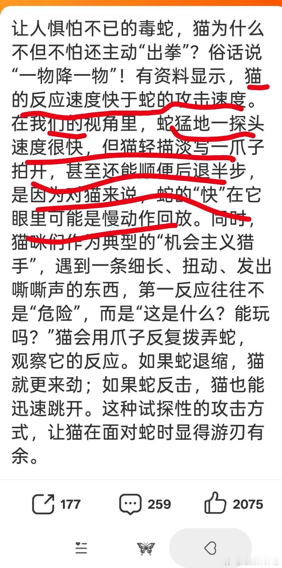 广州越秀公园惊现猫蛇大战还真是，猫和狗好像都不怕蛇