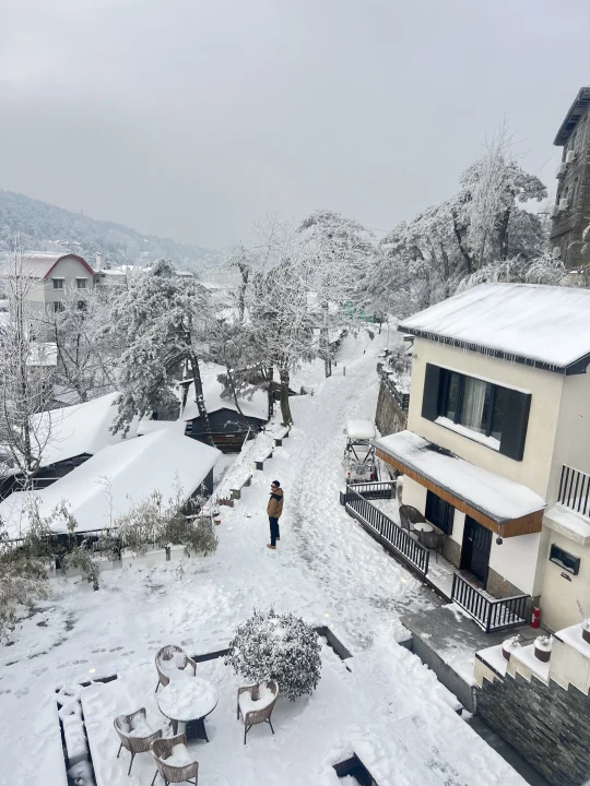 开始期待❄️雪后的庐山俨然就是北欧童话王国